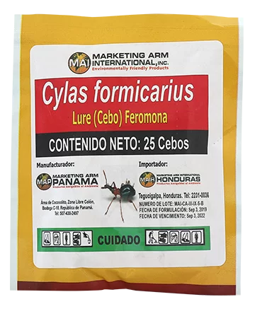 CYLAS FORMICARIUS-cebos-feromonas-marketing-arm-international