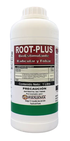 ROOT PLUS-marketing-arm-international