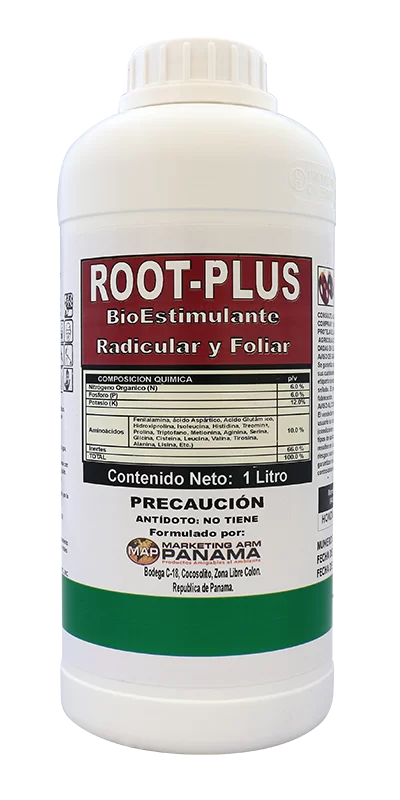 ROOT PLUS-marketing-arm-international